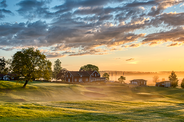 Soluppgång över en golfbana med grönt gräs, träd och röda hus i bakgrunden, dimma svävar över marken.