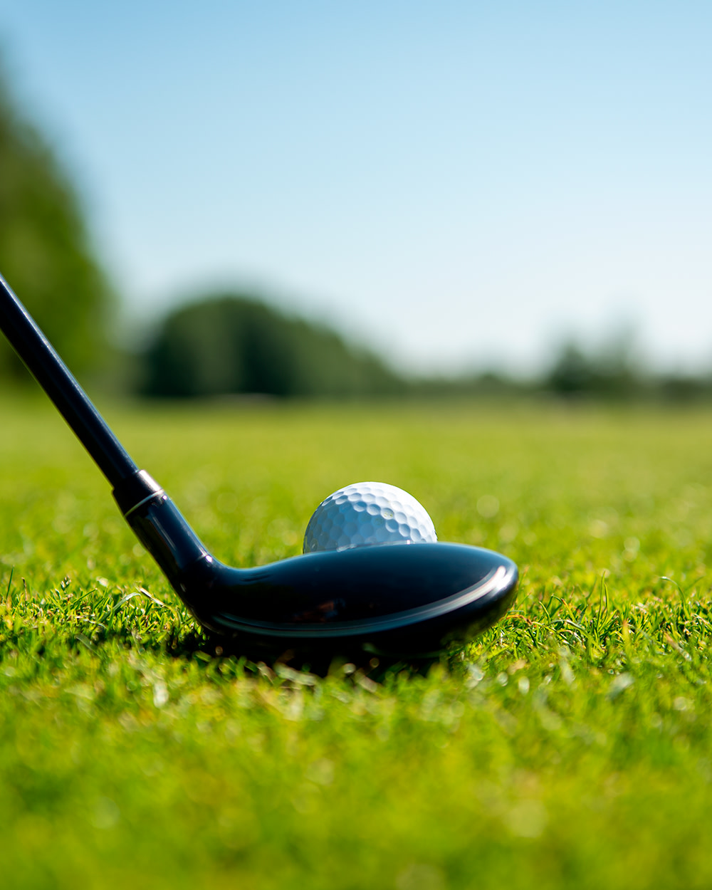 Ein Golfschläger ist auf einen Golfball gerichtet, der auf dem Gras eines sonnigen Golfplatzes liegt.