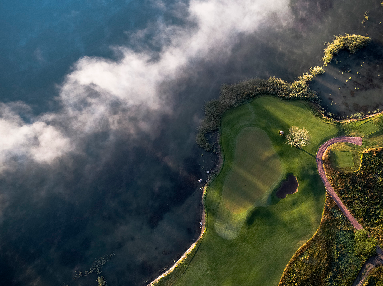 Golfgreen vid vattnet, sett ovanifrån, med en sandbunker, en stig och ett ensamt träd i morgondimma.
