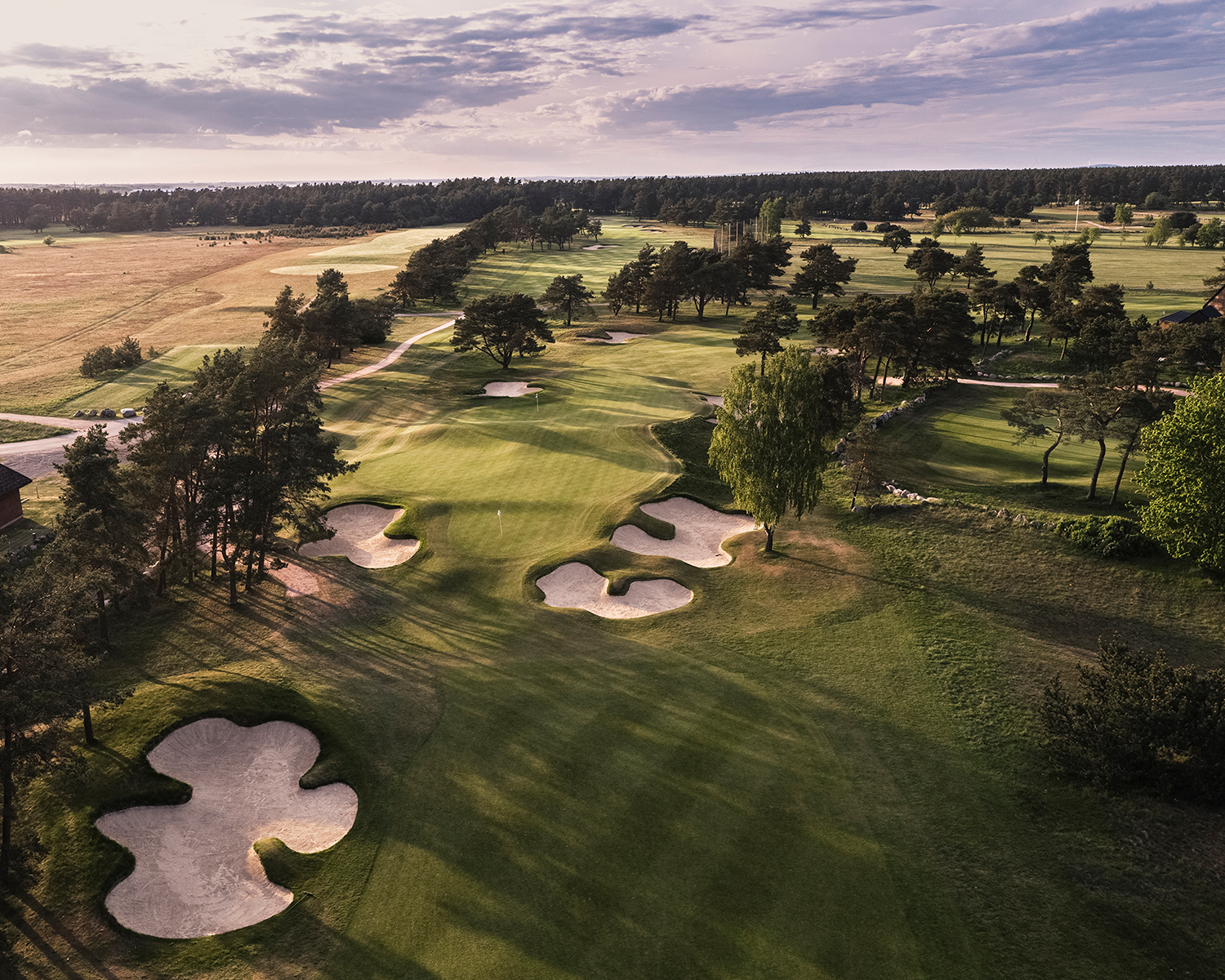 Flera sandbunkrar omger en välklippt green på en golfbana, omgiven av träd och öppna fält under molnig himmel.