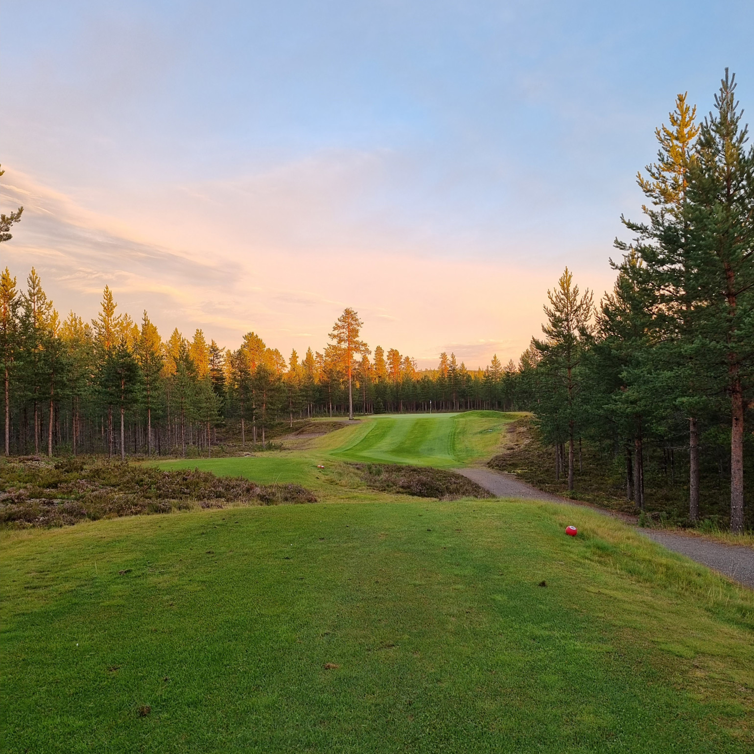 Golfbane med velplejet fairway omgivet af fyrreskov i solnedgang, grusvej løber langs højre side.