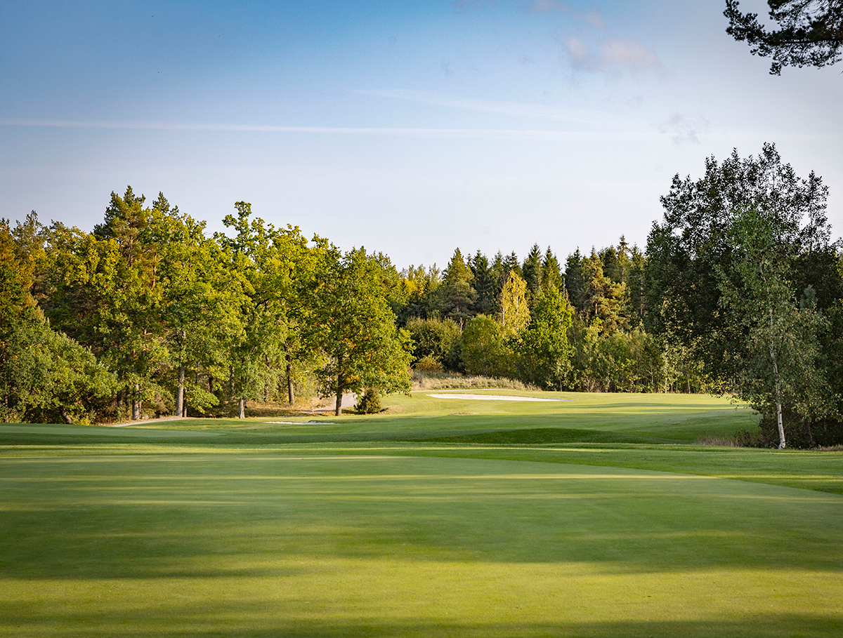 Grön golfbana breder ut sig under klar himmel, omgiven av träd och skog i bakgrunden.