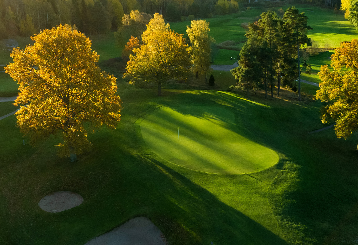 Golfgreen omgiven av höstträd med gula löv, sandbunkrar och solbelysta gräsmattor i en parkmiljö.