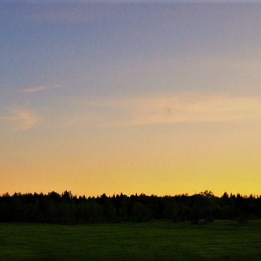 Solnedgång över en grön äng med träd i horisonten och himmel i mjuka orange och blå toner.