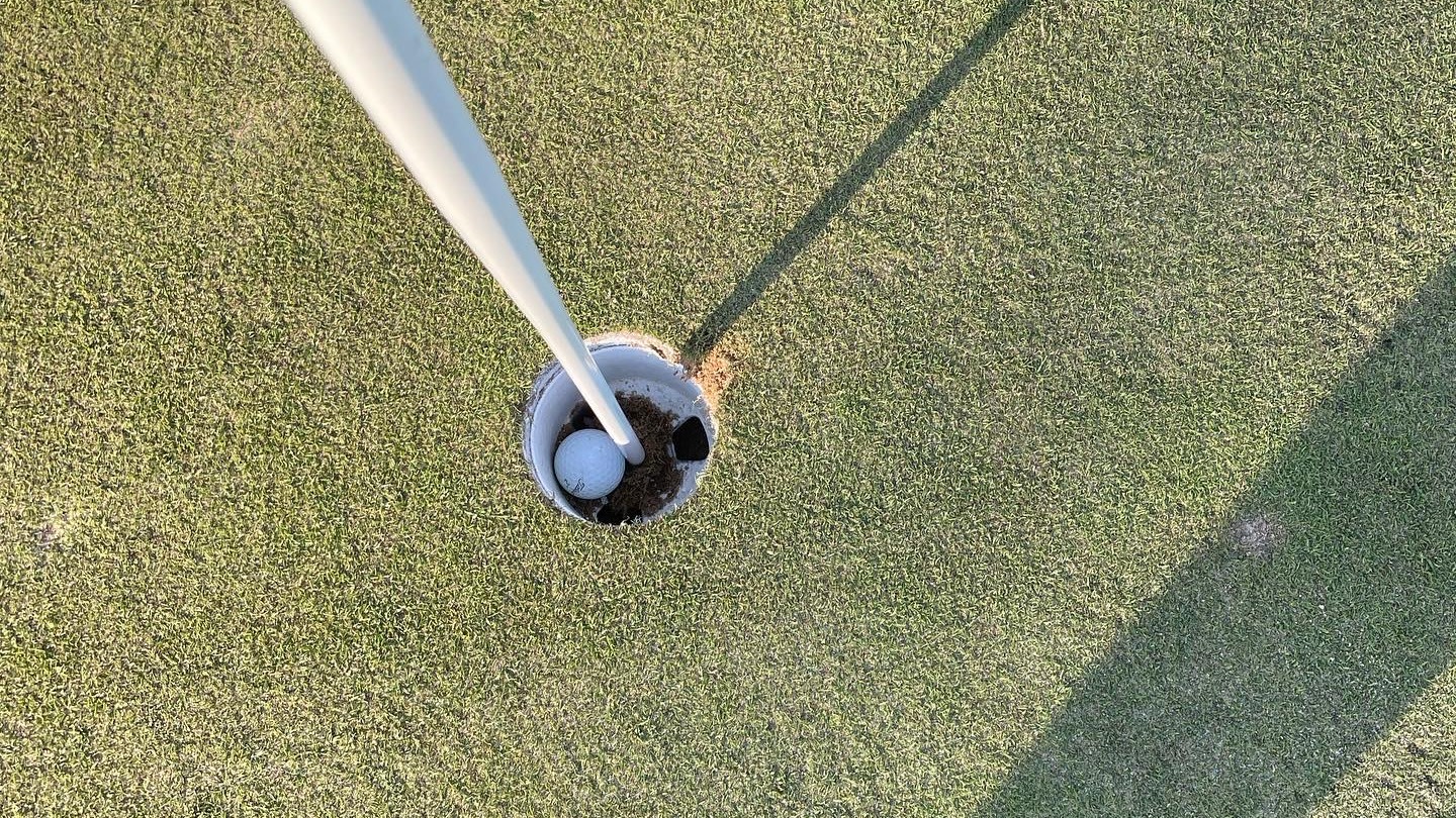 En golfbold ligger i hullet ved siden af flagstangen på en velplejet green under solskinsvejr.