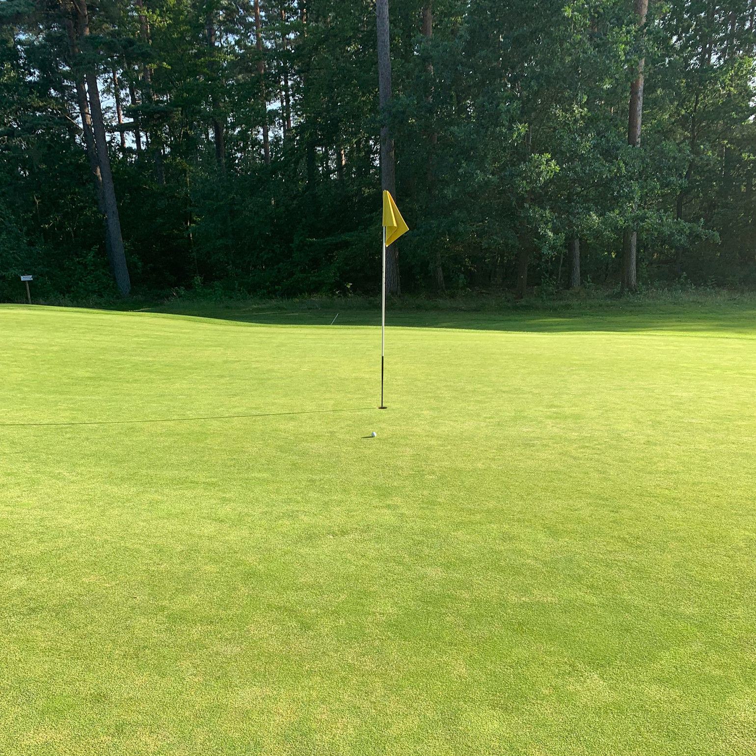 Golfboll ligger nära hålet med gul flagga på en green, omgiven av grönskande träd i bakgrunden.