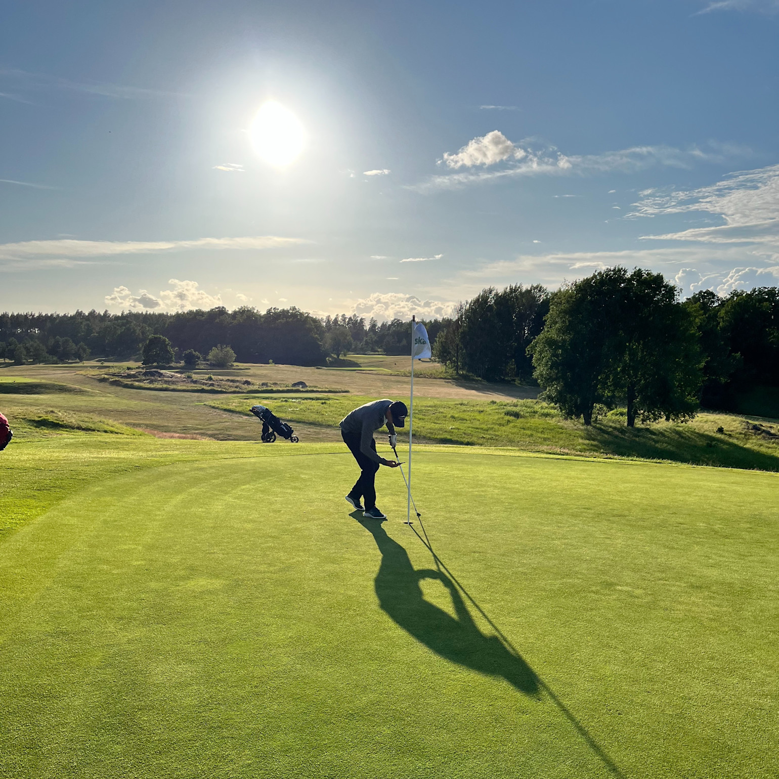 Golfspelare puttar mot hålet på en solig green med golfvagn och träd i bakgrunden.