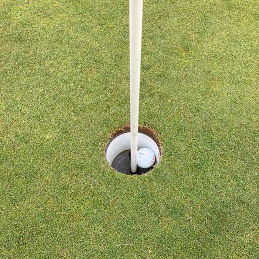 Golfbolden ligger i hullet ved siden af flagstangen på en velklippet green.