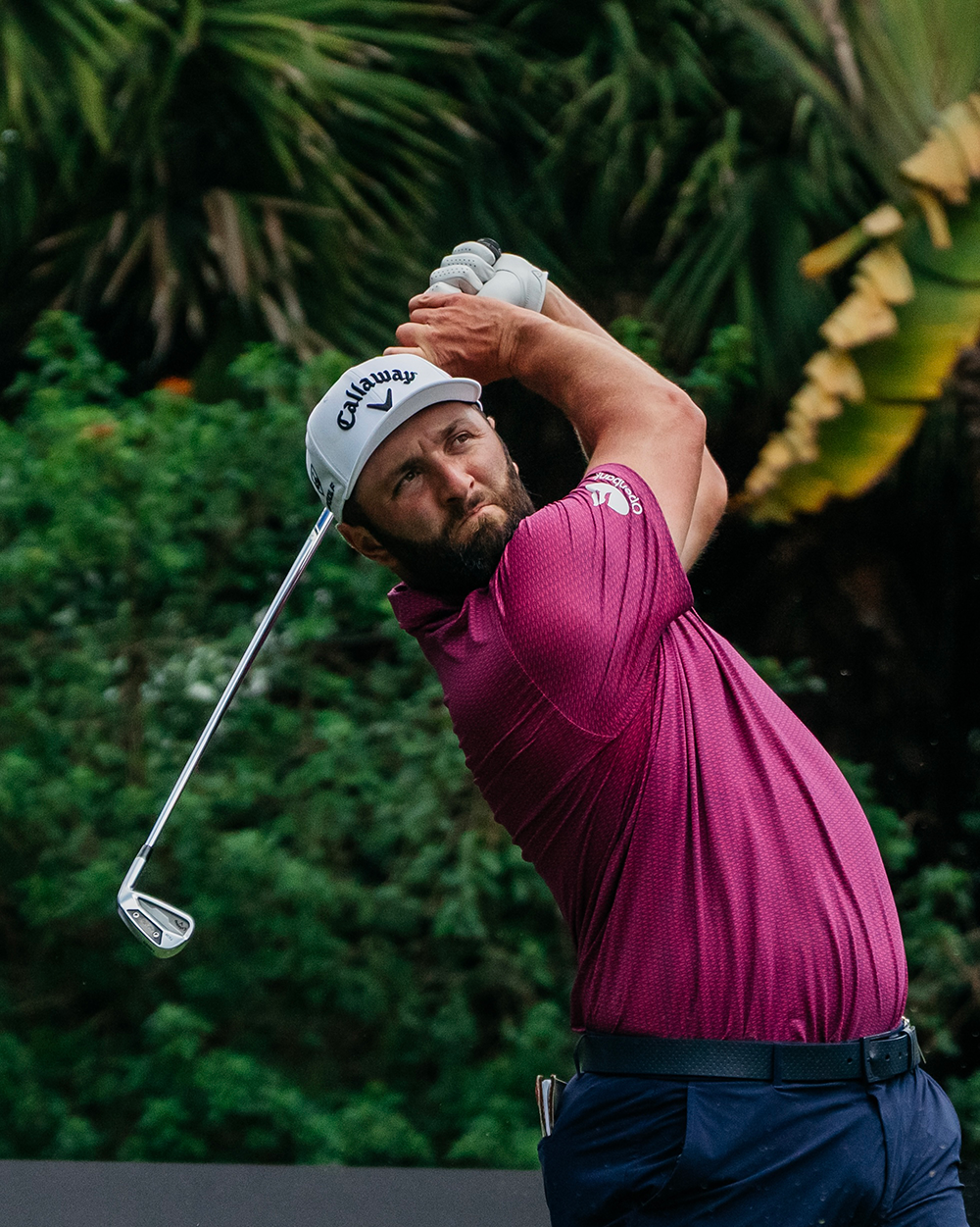 Man i lila golftröja och vit keps svingar en golfklubba på en grön golfbana med träd i bakgrunden.